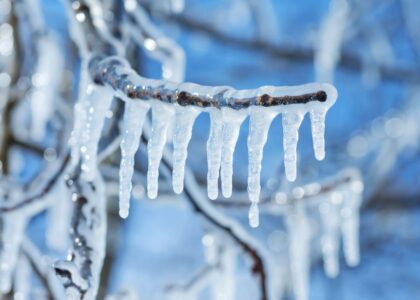 Arbitrum freezes $71 million in ether tied to Kelp DAO exploit