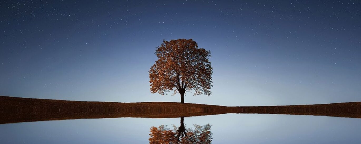 Bitcoin is now calmer than South Korea's stock market. Here's why it matters