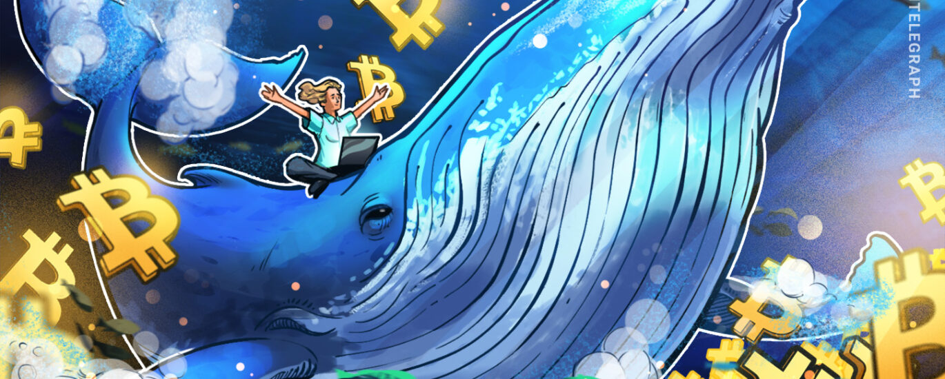 Bitcoin whale holdings hit five-month high: Is BTC headed to $80K next? img1