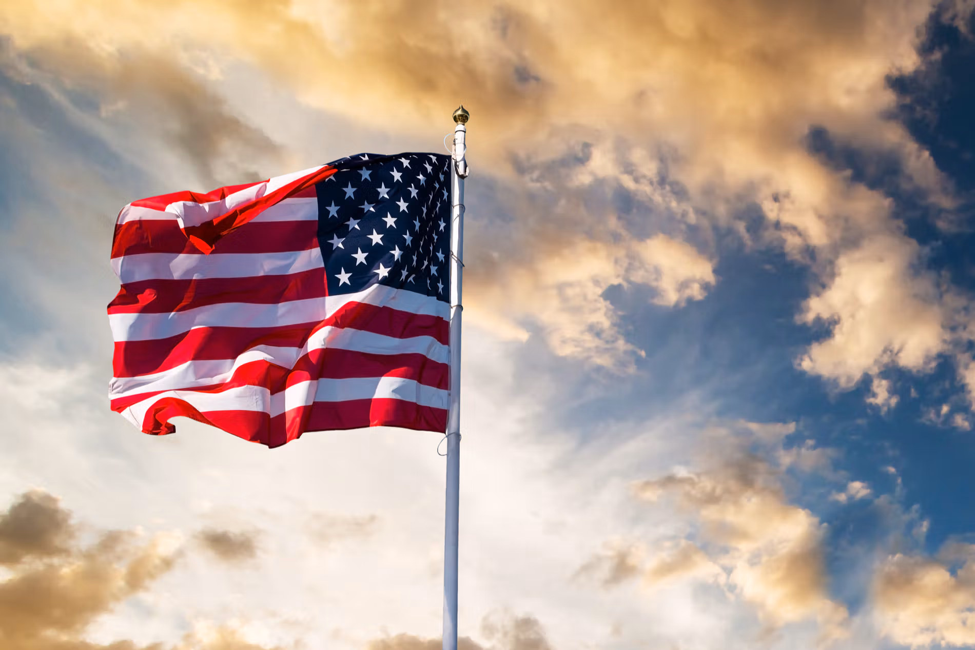 (In Green/Shutterstock)