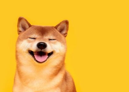 Dogecoin zooms 10%, breaking away from bitcoin as open interest hits a yearly peak