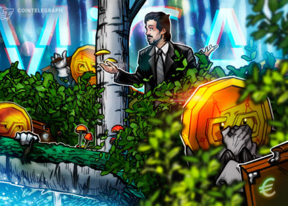 MiCA has made euro stablecoins safe but weak, new report argues img1