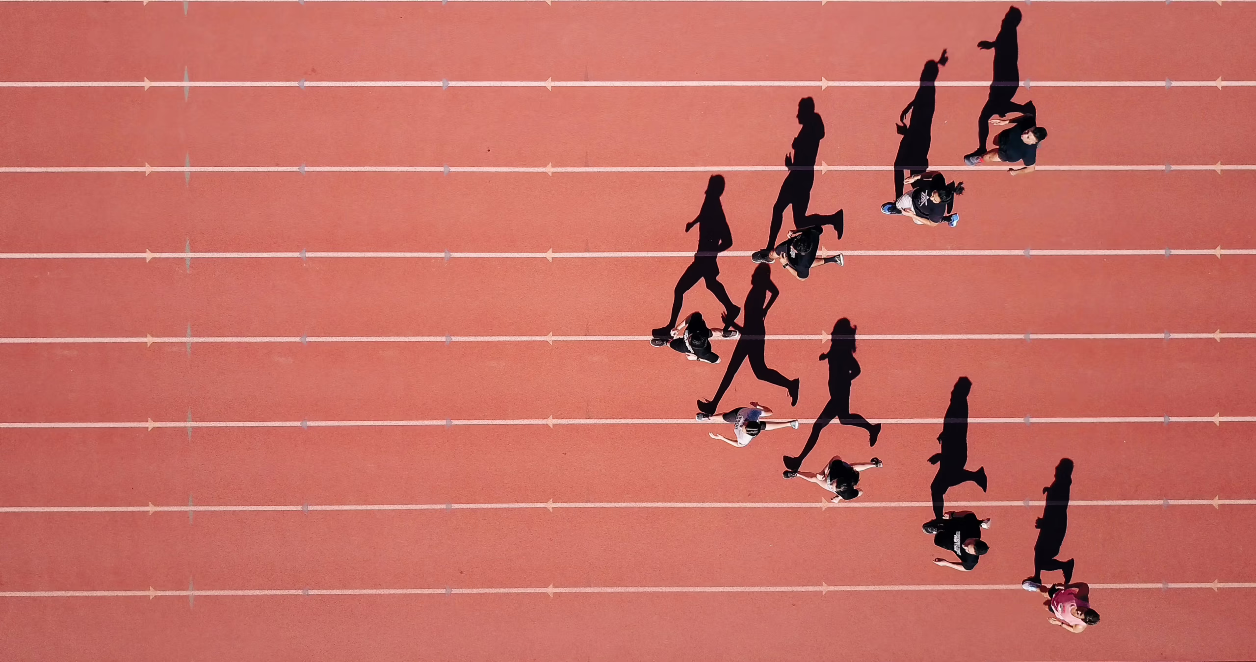 (Steven Lelham/Unsplash)