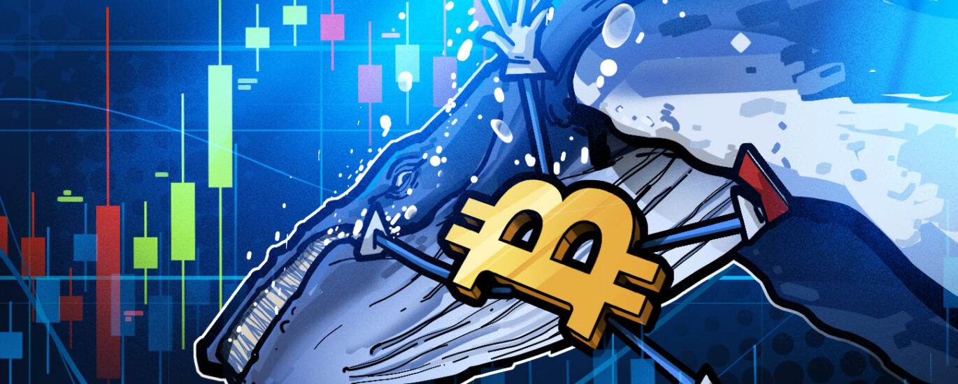 Bitcoin whale 'still short' BTC despite facing $13M in losses