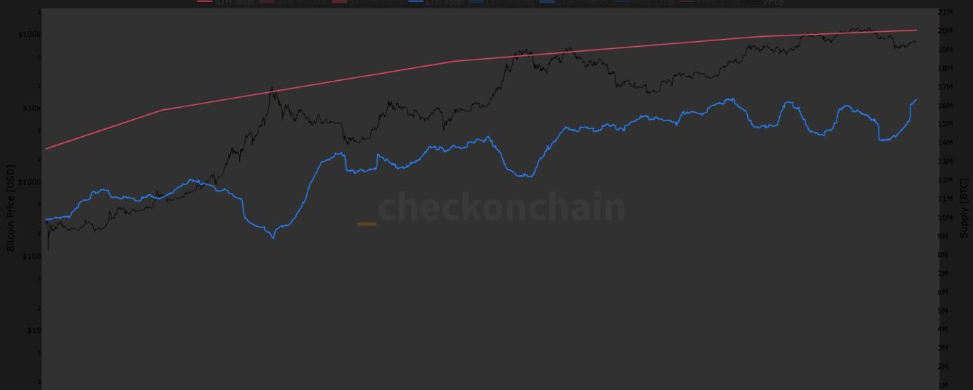Bitcoin's long-term holder supply approaches record high, breaking multi-year downtrend