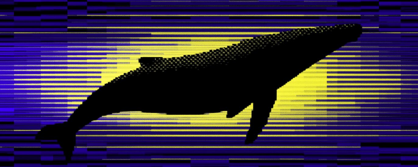 Cardano whales now hold 67% of ADA supply in highest share since 2020