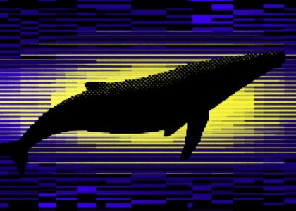Cardano whales now hold 67% of ADA supply in highest share since 2020
