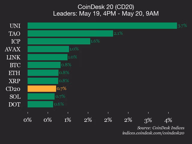 9am CoinDesk 20 Update for 2026-05-20: leaders