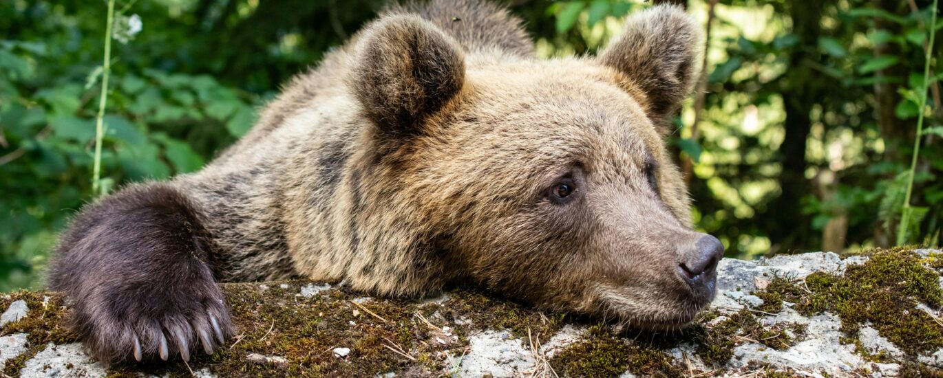 Crypto bears got it wrong again, losing $300 million in liquidations