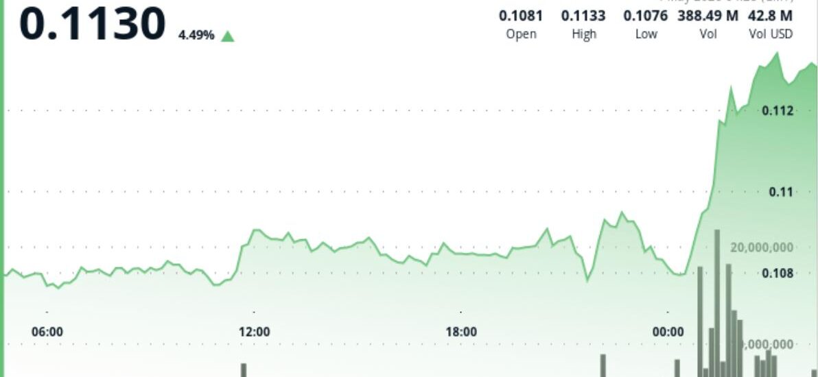 Dogecoin jumps 4% to lead gains among majors as bitcoin zooms higher