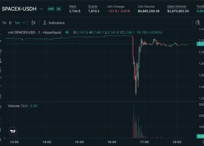 Hyperliquid's pre-IPO SpaceX contracts suffers 45% flash crash, liquidating $1.5 million