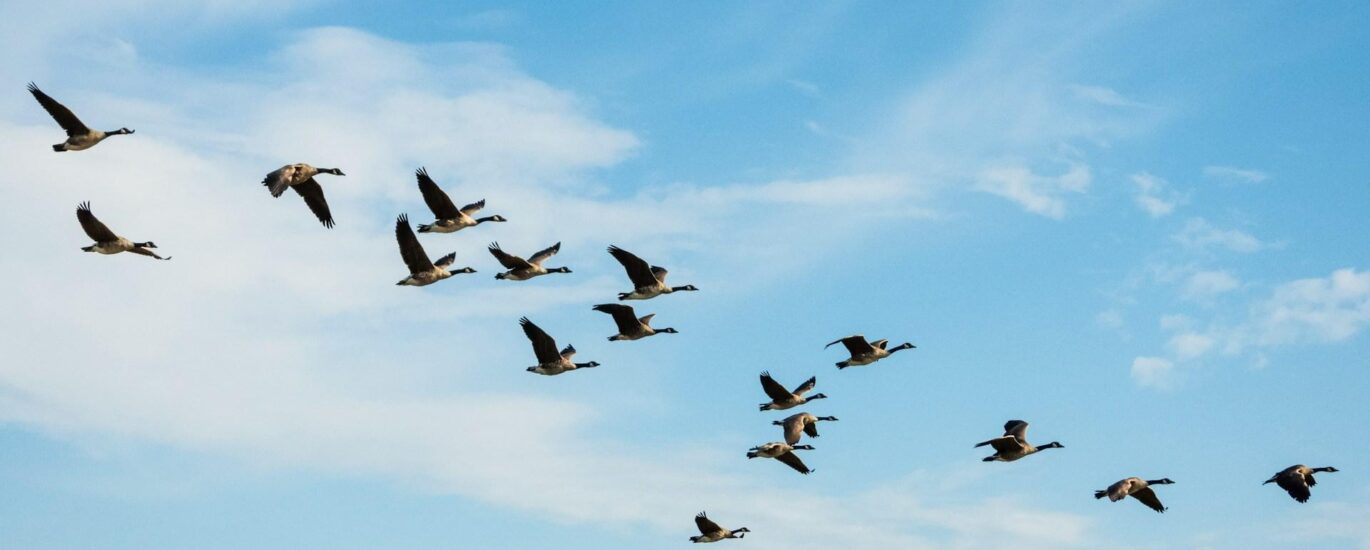 The $700 million migration: Why Solv Protocol is ditching LayerZero for Chainlink