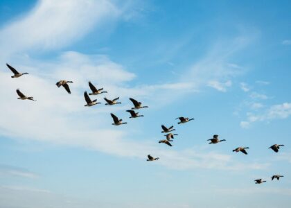 The $700 million migration: Why Solv Protocol is ditching LayerZero for Chainlink