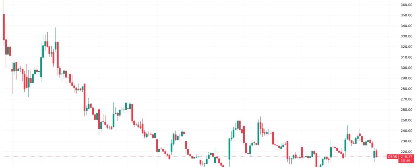 AI chipmaker Cerebras down 11% after first public earnings report