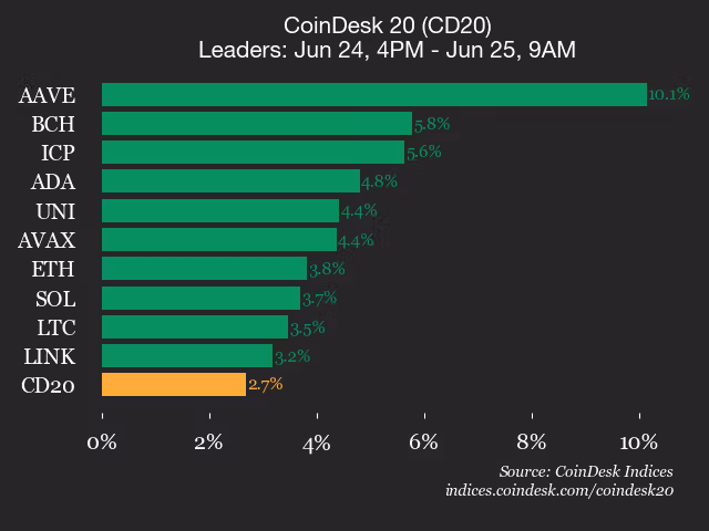 9am CoinDesk 20 Update for 2026-06-25: leaders chart