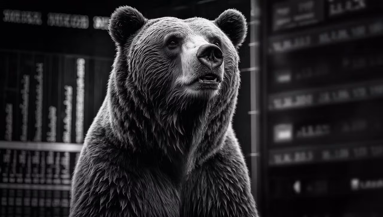 Bear. (geralt/Pixabay