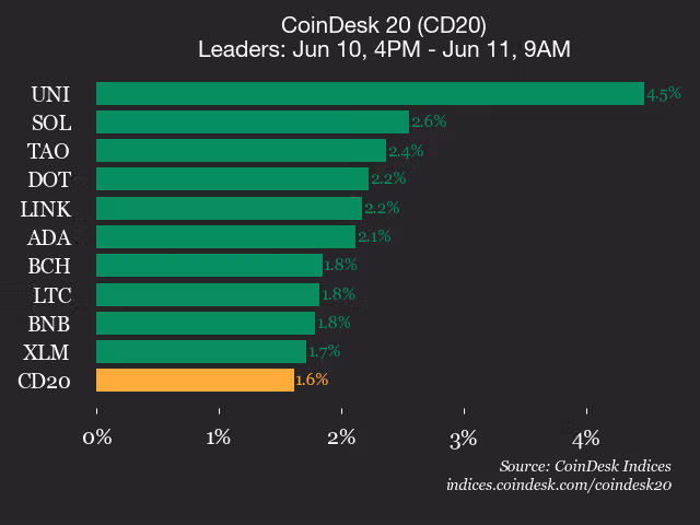9am CoinDesk 20 Update for 2026-06-11: leaders