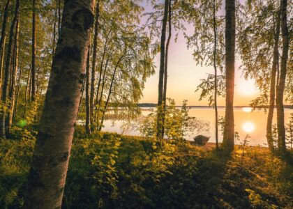 Come back after the summer, says one analyst on crypto markets