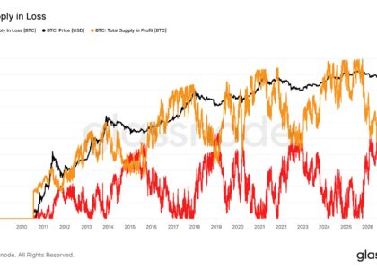 This bitcoin metric has marked every bear market bottom, and it's just flashed again