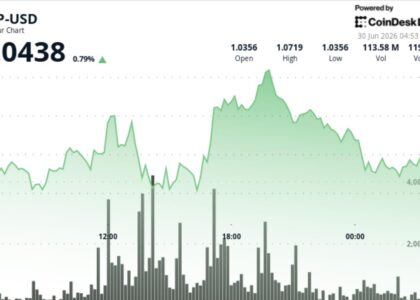 XRP holds $1 support as network activity rises and leverage clears out