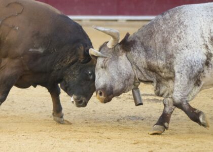 Bulls face a test unlike anything in bitcoin's 17-year history