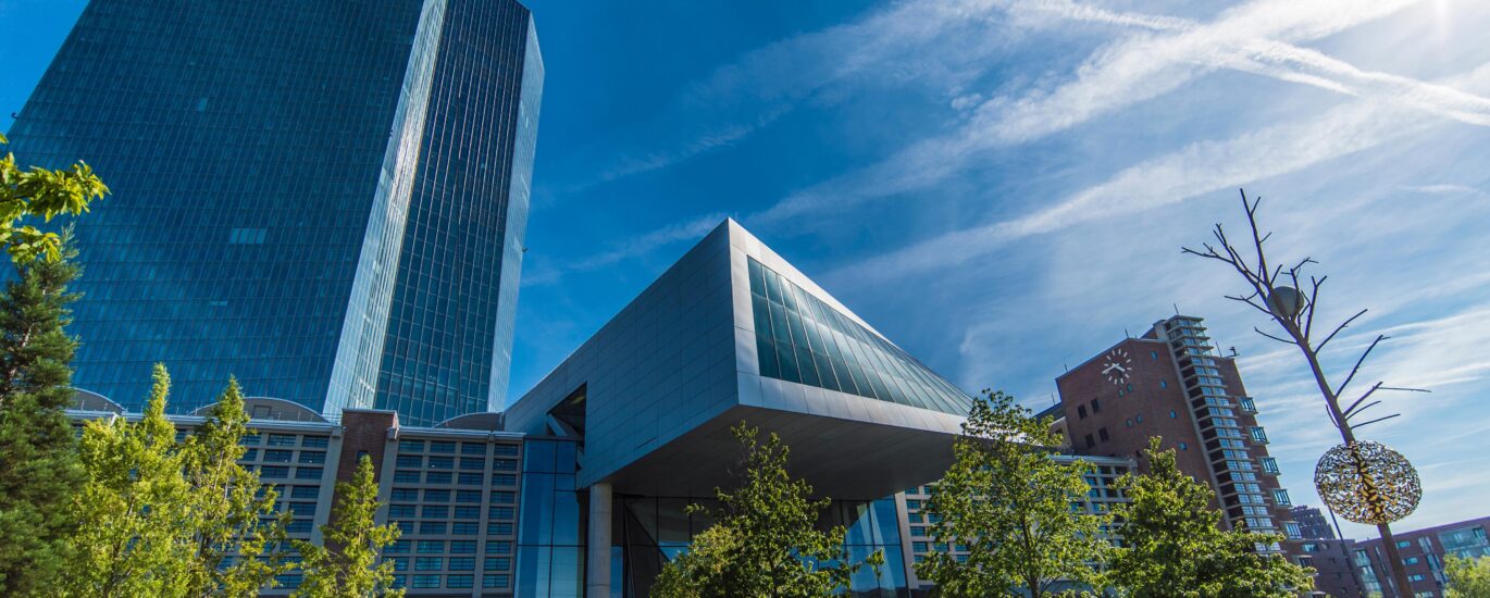 ECB picks firms including Deutsche Bank, Revolut for digital euro pilot
