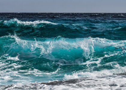 A $2 million bet on XRP volatility crosses the tape as prices surge