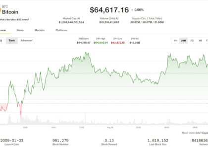 Bitcoin, ether benefit as traders seek safety of largest tokens