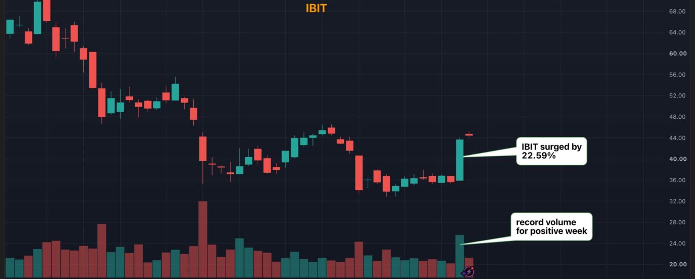 BlackRock's Mitchnick says macro case for bitcoin is strengthening after record trading in positive week