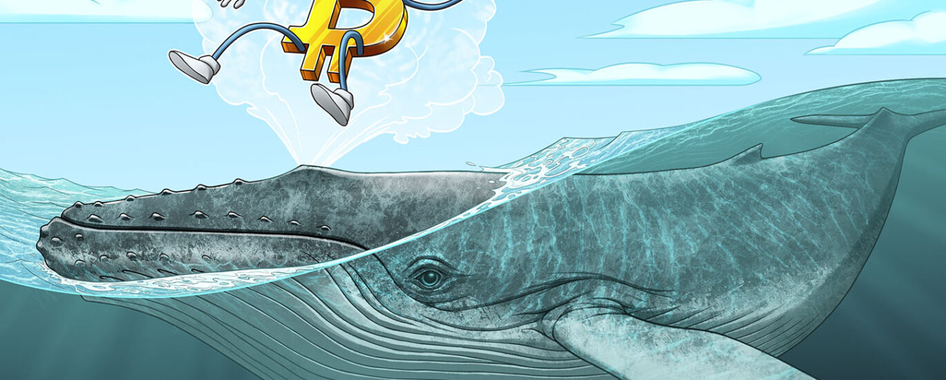 Do the Coldcard attacks mean all hardware wallets are now insecure? img7
