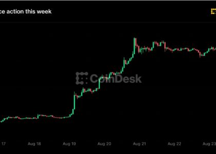 Live updates: Bitcoin holds $77,000 as XRP, Zcash pull back after a big weekly rally