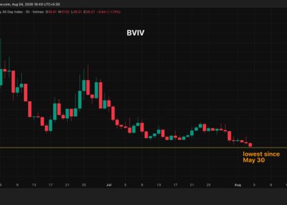 The bitcoin market has plenty of reasons to freak out, yet calm pervades