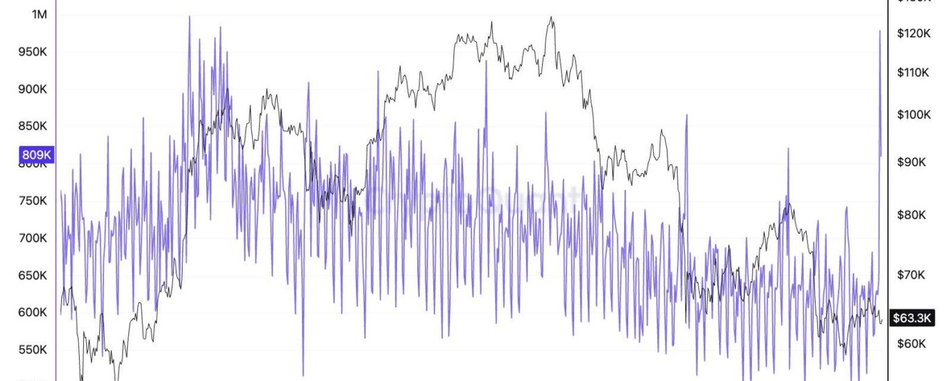Unlike the FTX collapse, the $89 million Coldcard exploit has investors sending bitcoin back to exchanges