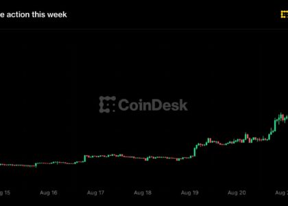 Zcash jumps 48% to over $800 as Grayscale spot ETF push adds to ‘next bitcoin’ buzz