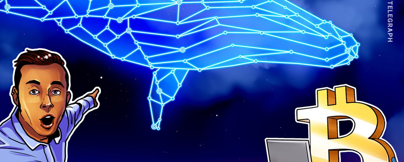 New Bitcoin whales spark sell-side risk as unrealized gains hit $9B img1