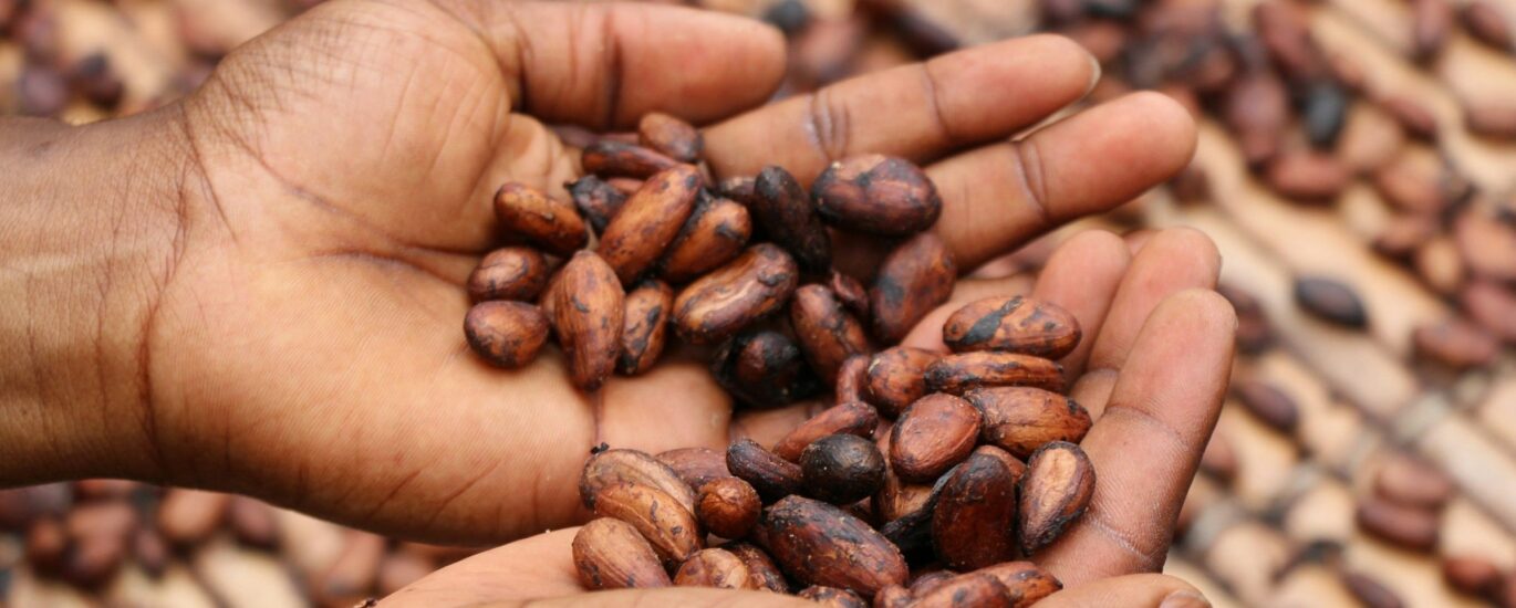 Tracking cocoa may be just the beginning for PwC, Merck, Hashgraph provenance system