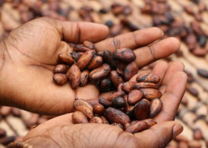 Tracking cocoa may be just the beginning for PwC, Merck, Hashgraph provenance system